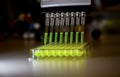 Multi channel pipette withdrawing green fluorophore compound solution with plastic tips for biomedical research with dark Royalty Free Stock Photo