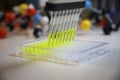 Multi channel pipette withdrawing green fluorophore compound solution with plastic tips for biomedical research with model Royalty Free Stock Photo