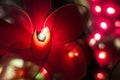 Mesh flower Christmas lights with various colors