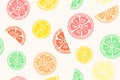 Multi color slices of a citrus fruits doodle summer pattern, multi color flat design seamless background collection.