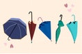 Set of five open and closed trendy umbrellas in different position. Autumn fashion sale and rainy protection.