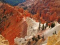 Multi-colored amphitheater formations of the Cedar Breaks National Monument