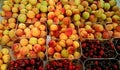 Multi-colored apricots and cherries Royalty Free Stock Photo