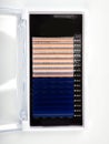 Multi-colored artificial eyelashes for extension, two colors in the macro palette, blue and white