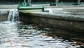 Multi-colored, artificially bred trout, white, blue in a pond on a trout farm. Royalty Free Stock Photo