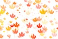 Multi colored autumn leaves background