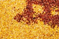 Multi-colored background of corn maize seed Royalty Free Stock Photo