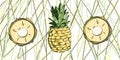 Colored curb of pineapple and pineapple rings on a coloured background.