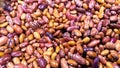 Multi-colored bean seed background with copy space