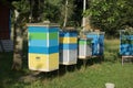 Multi-colored bee hives. Stand in rows in a village garden Royalty Free Stock Photo