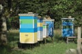 Multi-colored bee hives. Stand in rows in a village garden Royalty Free Stock Photo