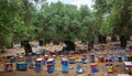 Multi-colored beehives, apiary, honey, many beehives that look like people, coniferous honey on the island of Thassos