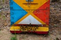 Multi-colored beehives, apiary, honey, many beehives that look like people, coniferous honey on the island of Thassos