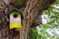 Multi colored bird nest box on an old tree Royalty Free Stock Photo