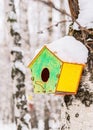 A multi-colored birdhouse hangs on a birch tree in a cold winter forest with snow on the roof Royalty Free Stock Photo