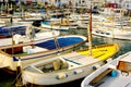 Multi-colored boats in the Capri marina of Italy for safe harbor. Royalty Free Stock Photo