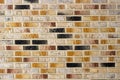 The Multi Colored brick wall close up, texture and background Royalty Free Stock Photo