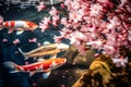 Multi-colored carp swimming in a Japanese pond. Generative AI Royalty Free Stock Photo