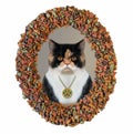 Cat looks through dry food frame 4 Royalty Free Stock Photo