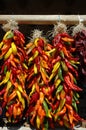 Multi colored chili ristras Royalty Free Stock Photo