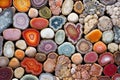 multi-colored collection of fossilized coral