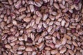 Multi-colored dark red and beige haricot beans background Royalty Free Stock Photo