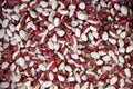 Multi-colored dark red and white haricot beans background Royalty Free Stock Photo