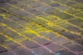 Multi-colored earth, paving slabs, powder coated with dry colors Royalty Free Stock Photo