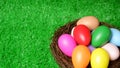 Multi colored easter eggs in birds nest on green grass lawn background closeup view selective focus with copy space. Easter