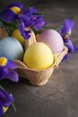 Multi colored Easter eggs in a cardboard box and fresh flower on a wooden background, vertically. Close-up Royalty Free Stock Photo