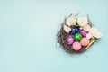 Multi-colored easter eggs in a decorative nest with narcissus flowers, on a blue background, space for text Royalty Free Stock Photo