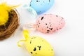 Multi-colored eggs in a black dot, on a white background. View from above. Flat lay. Yellowbird in a basket Royalty Free Stock Photo