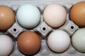 Multi-Colored Eggs in Carton