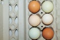 Multi-Colored Eggs in Carton