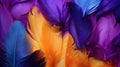 Multi colored feathers. Closeup rainbow feather. Background texture, abstract