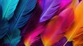 Multi colored feathers. Closeup rainbow feather. Background texture, abstract