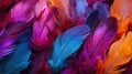 Multi colored feathers. Closeup rainbow feather. Background texture, abstract