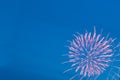 Multi-colored fireworks against the dark blue sky in the right corner Royalty Free Stock Photo
