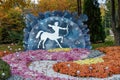 Multi-colored flower beds of beautiful chrysanthemums