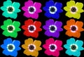 Multi-colored Flower Collage