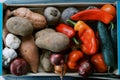 Multi-colored fresh vegetables lie in a wooden box. Top view Royalty Free Stock Photo