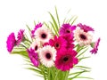 Multi-colored gerberas on legs and palm leaves.