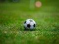 Multi-colored golf balls on green grass. Golf Club. Sports and recreation Royalty Free Stock Photo