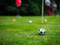 Multi-colored golf balls on green grass. Golf Club. Sports and recreation