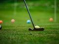 Multi-colored golf balls on green grass. Golf Club. Sports and recreation Royalty Free Stock Photo