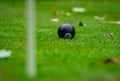 Multi-colored golf balls on green grass. Golf Club. Sports and recreation Royalty Free Stock Photo