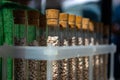 Multi-colored granules of micronutrient fertilizer in test tubes in a row Royalty Free Stock Photo