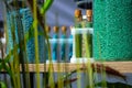 Multi-colored granules of micronutrient fertilizer in test tubes in a row Royalty Free Stock Photo