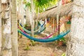 Multi-colored hammocks among palm trees at the hotel Royalty Free Stock Photo