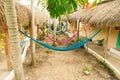 Multi-colored hammocks among palm trees at the hotel Royalty Free Stock Photo